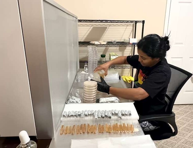 Dr. Anna Thomas working in the lab